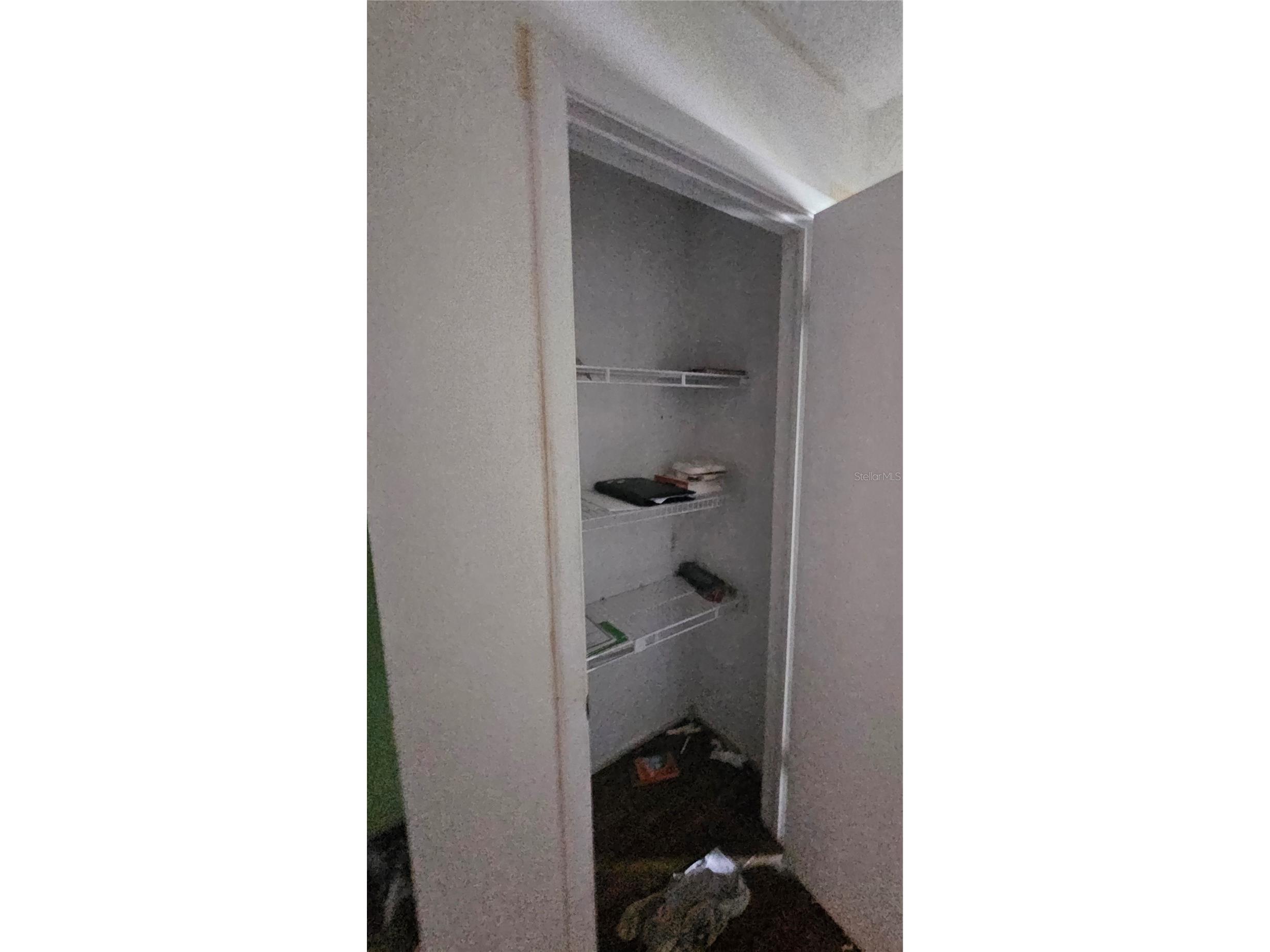 8428 Paxton Drive Port Richey FL 34668 TB8458777 image23