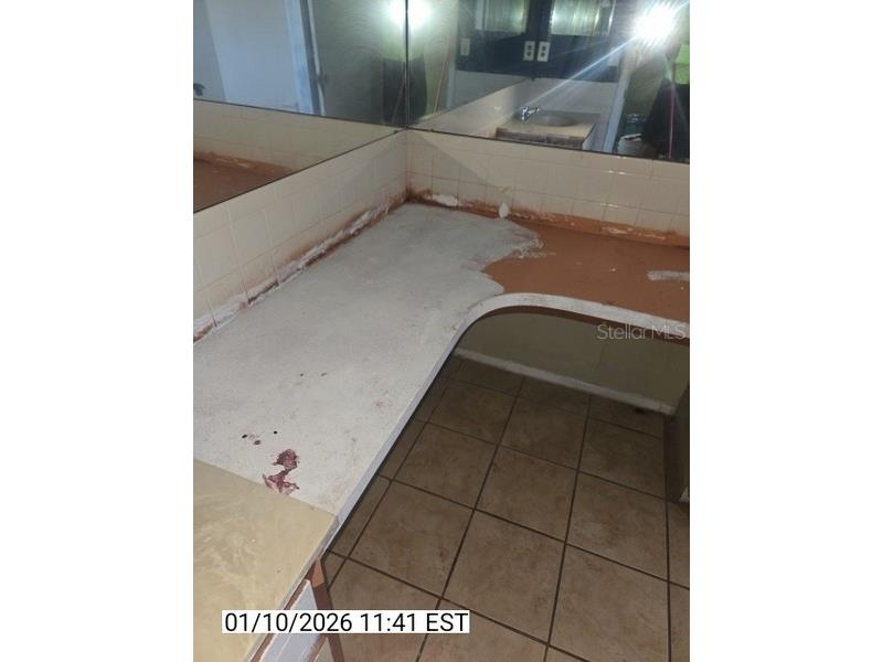 8428 Paxton Drive Port Richey FL 34668 TB8458777 image28