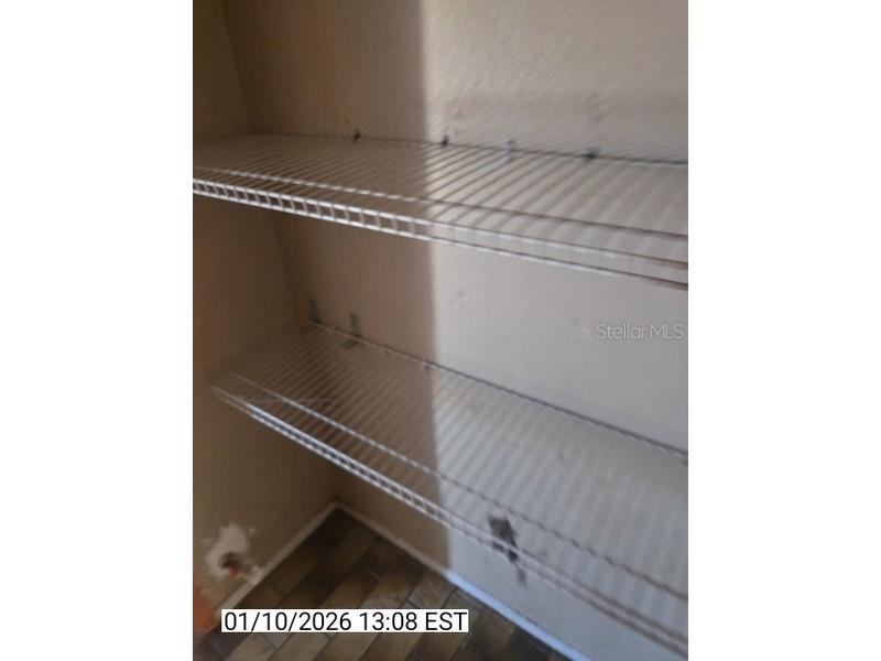 8428 Paxton Drive Port Richey FL 34668 TB8458777 image61