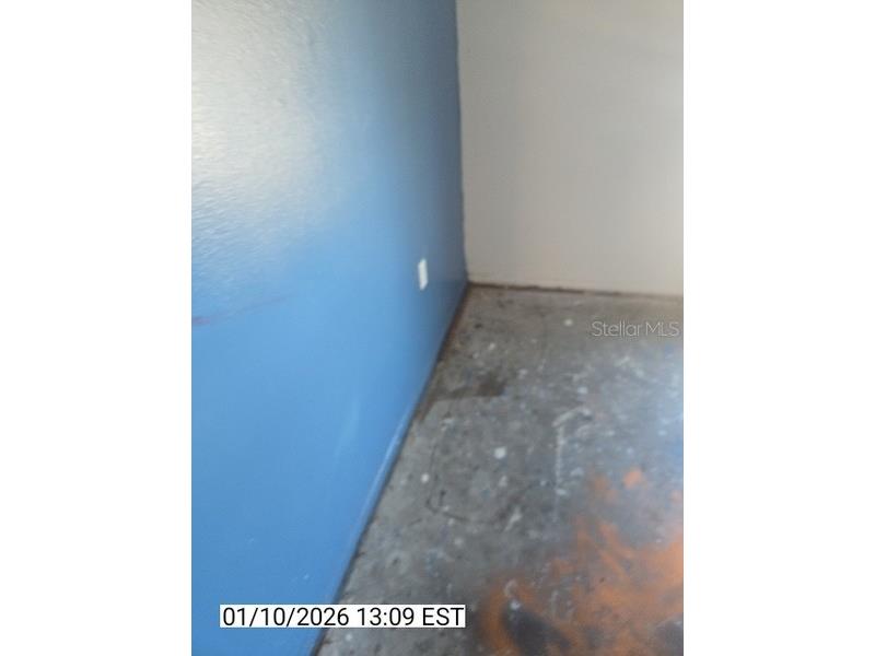 8428 Paxton Drive Port Richey FL 34668 TB8458777 image70