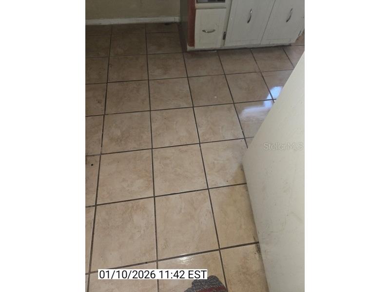 8428 Paxton Drive Port Richey FL 34668 TB8458777 image80