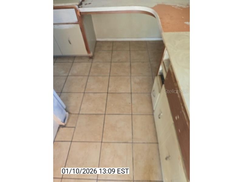 8428 Paxton Drive Port Richey FL 34668 TB8458777 image95