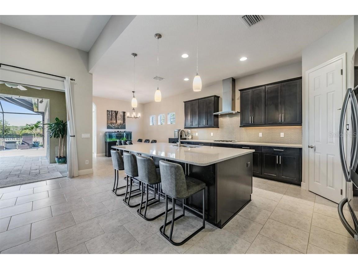 8429 Eagle Brook Drive Land O Lakes FL 34638 TB8455775 image13