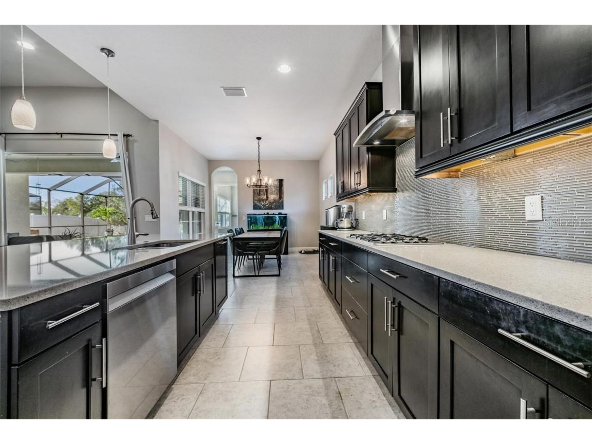 8429 Eagle Brook Drive Land O Lakes FL 34638 TB8455775 image16