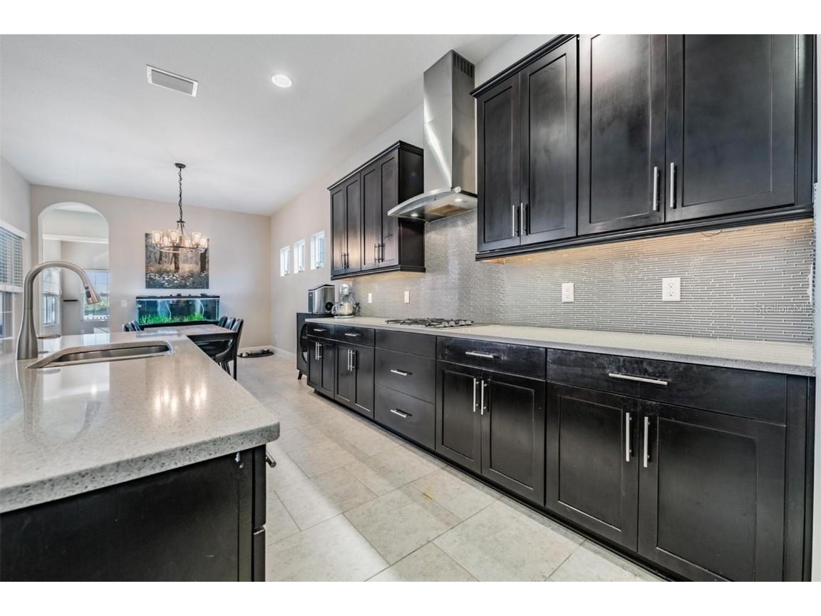 8429 Eagle Brook Drive Land O Lakes FL 34638 TB8455775 image17