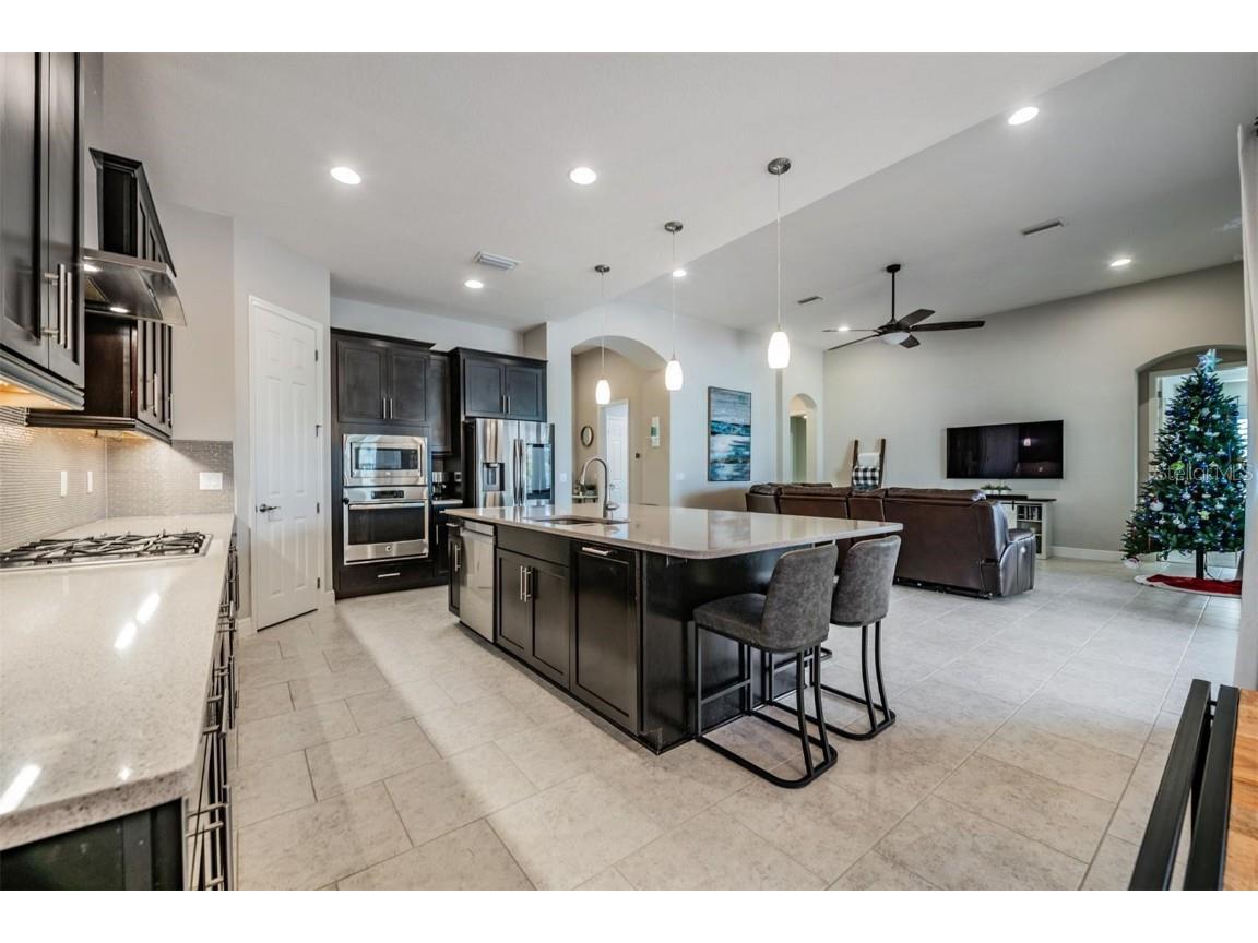 8429 Eagle Brook Drive Land O Lakes FL 34638 TB8455775 image19