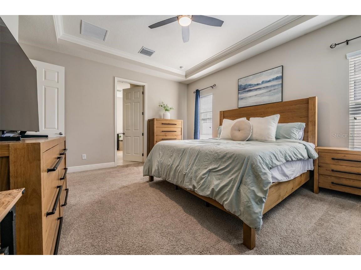 8429 Eagle Brook Drive Land O Lakes FL 34638 TB8455775 image21