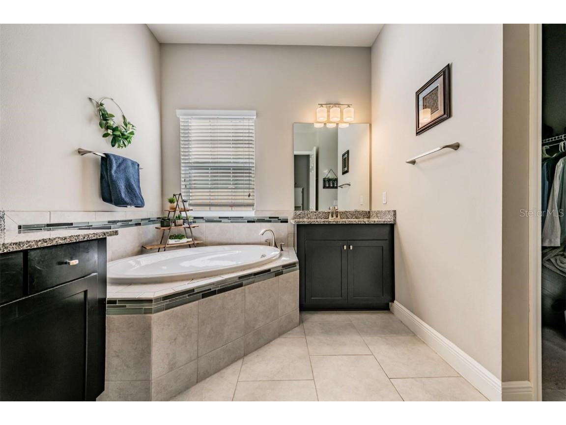 8429 Eagle Brook Drive Land O Lakes FL 34638 TB8455775 image23