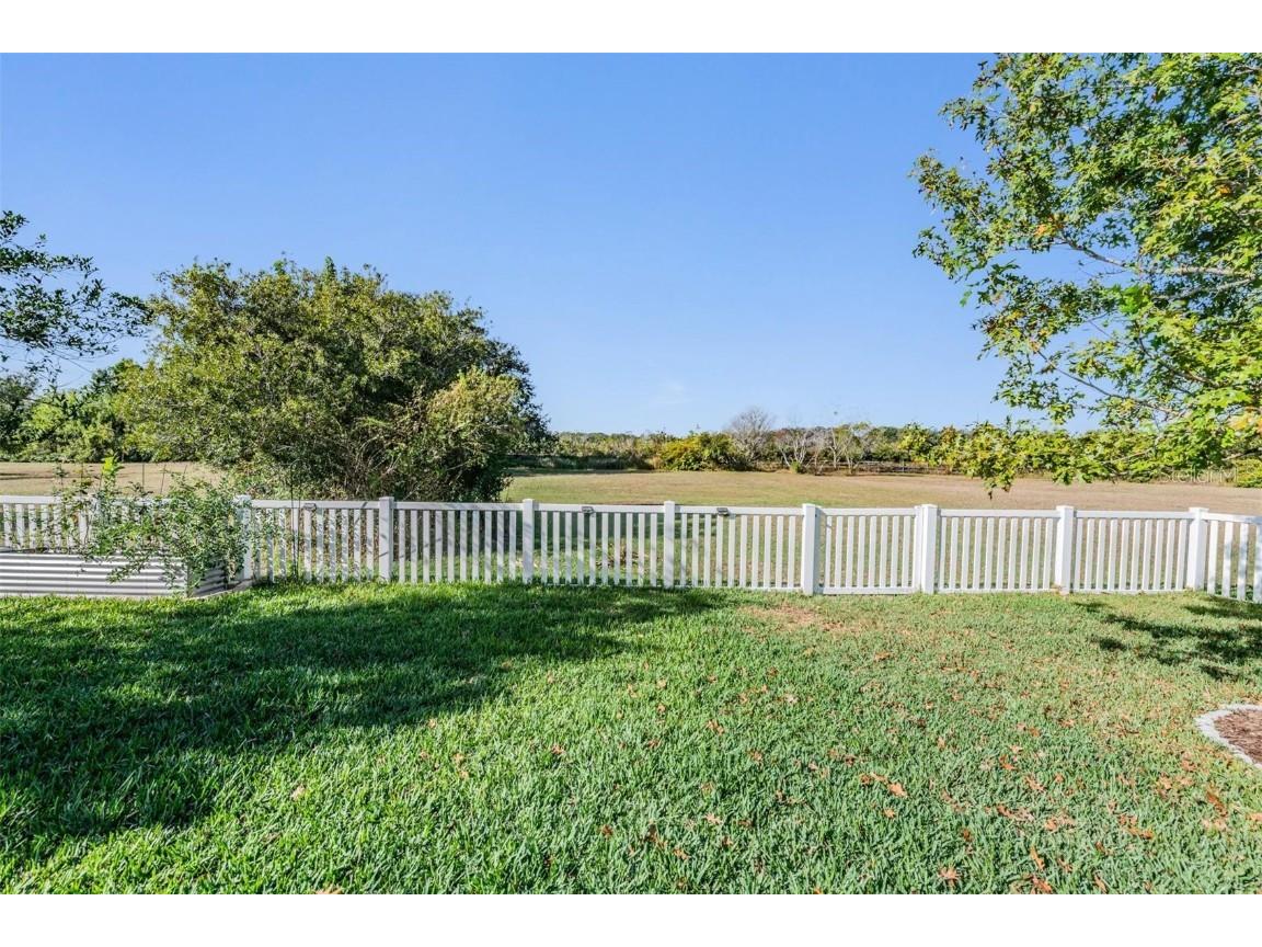 8429 Eagle Brook Drive Land O Lakes FL 34638 TB8455775 image36