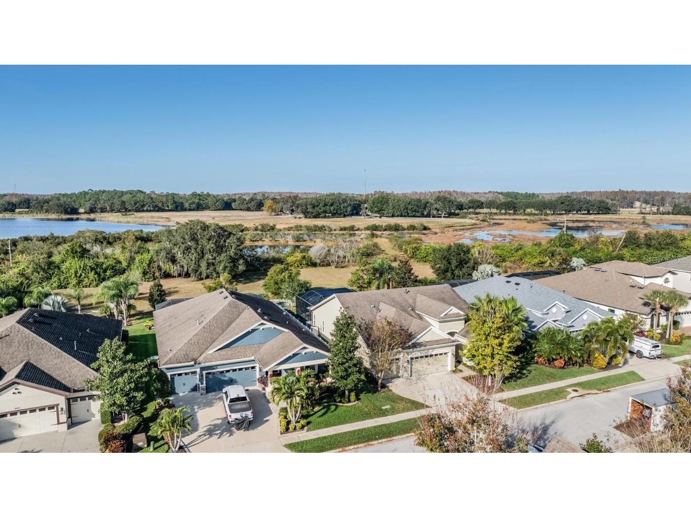 8429 Eagle Brook Drive Land O Lakes FL 34638 TB8455775 image38