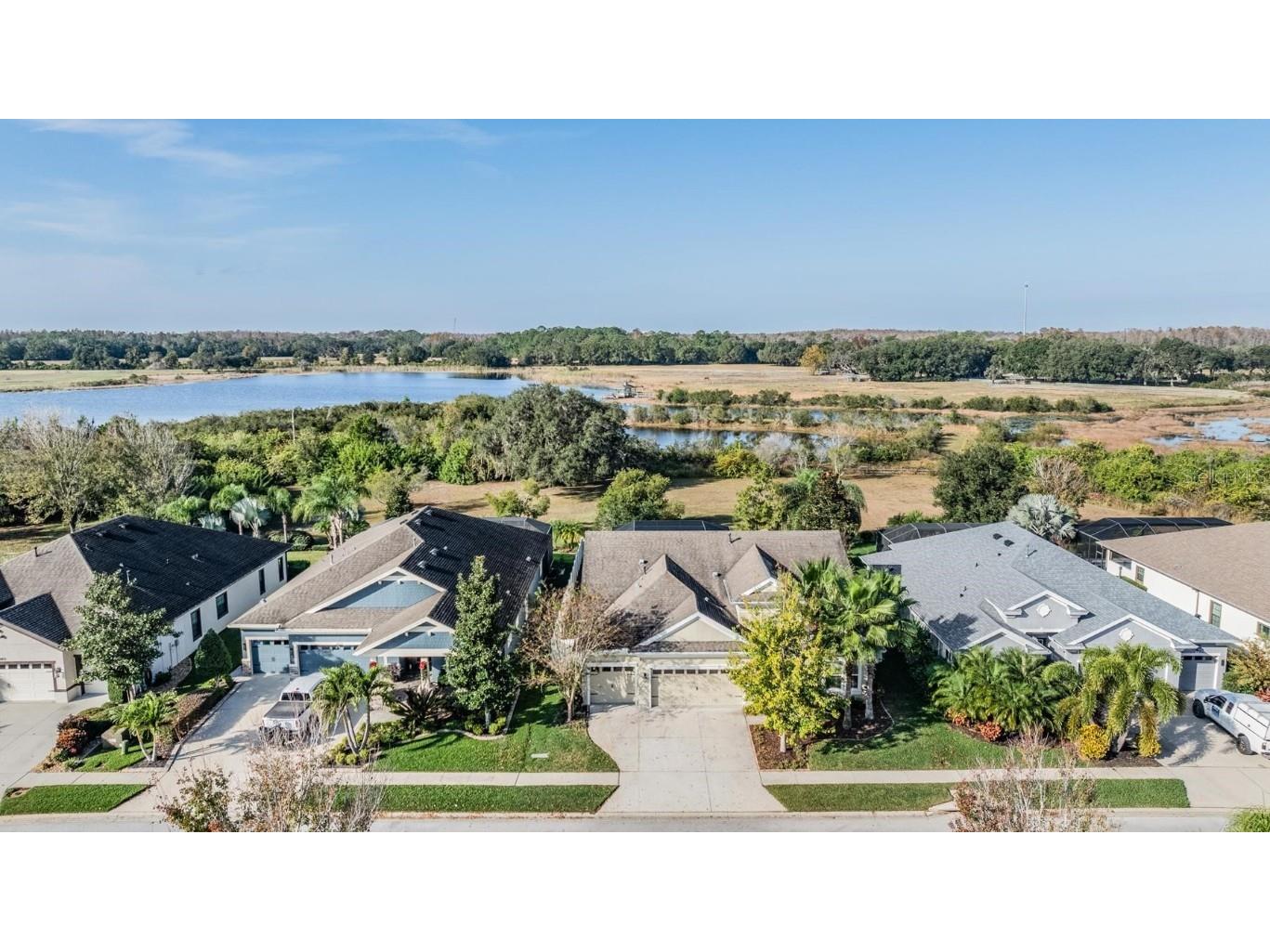 8429 Eagle Brook Drive Land O Lakes FL 34638 TB8455775 image41