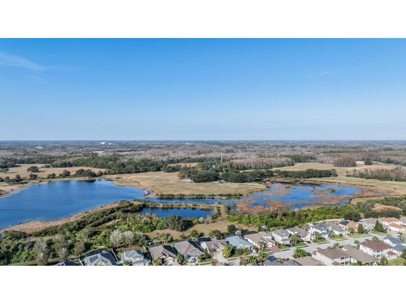 8429 Eagle Brook Drive Land O Lakes FL 34638 TB8455775 image42