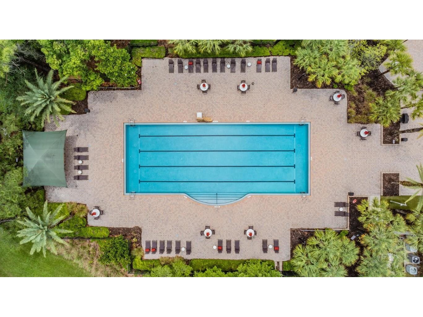 8429 Eagle Brook Drive Land O Lakes FL 34638 TB8455775 image48