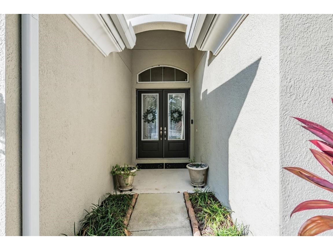 8429 Eagle Brook Drive Land O Lakes FL 34638 TB8455775 image5