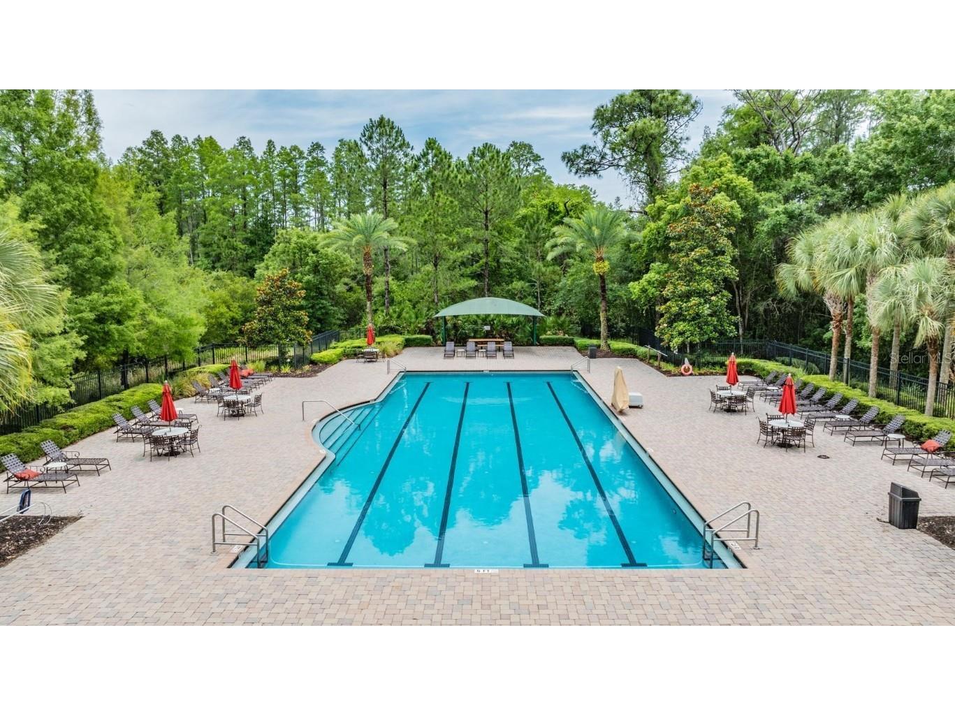 8429 Eagle Brook Drive Land O Lakes FL 34638 TB8455775 image52