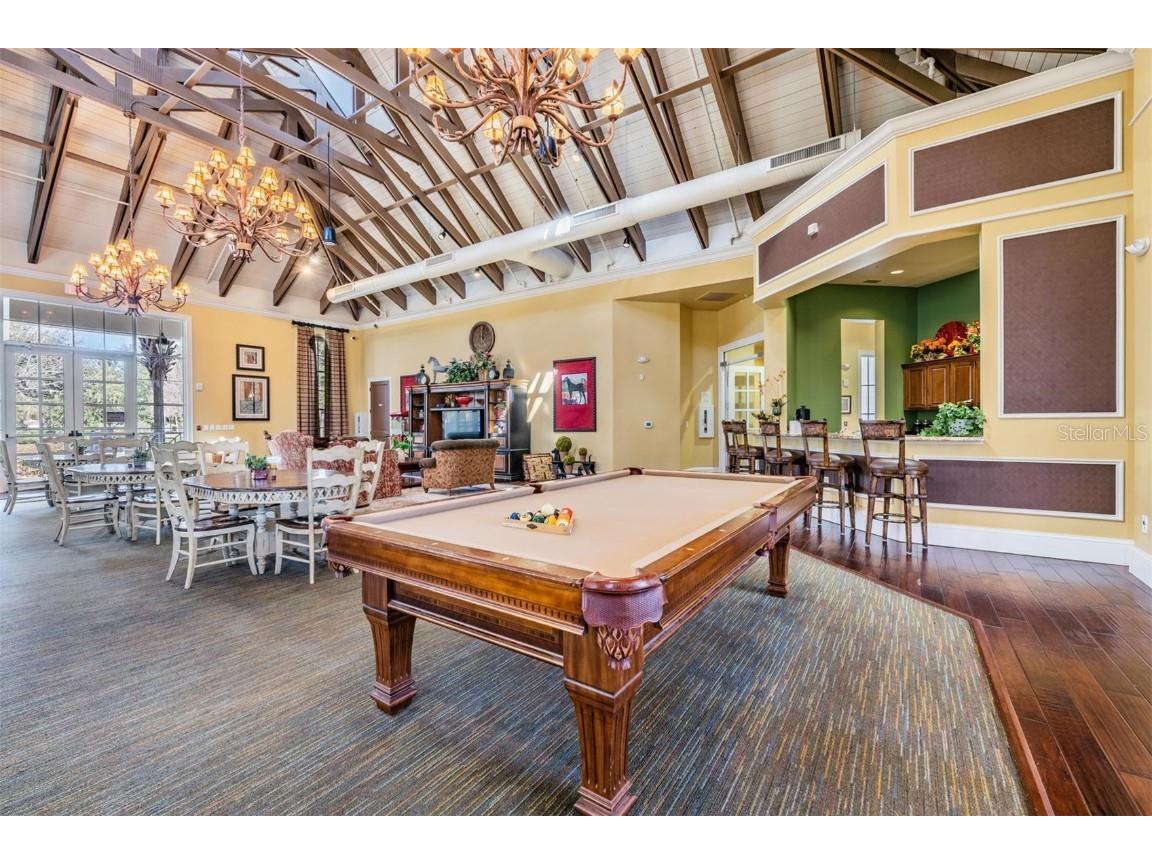 8429 Eagle Brook Drive Land O Lakes FL 34638 TB8455775 image66