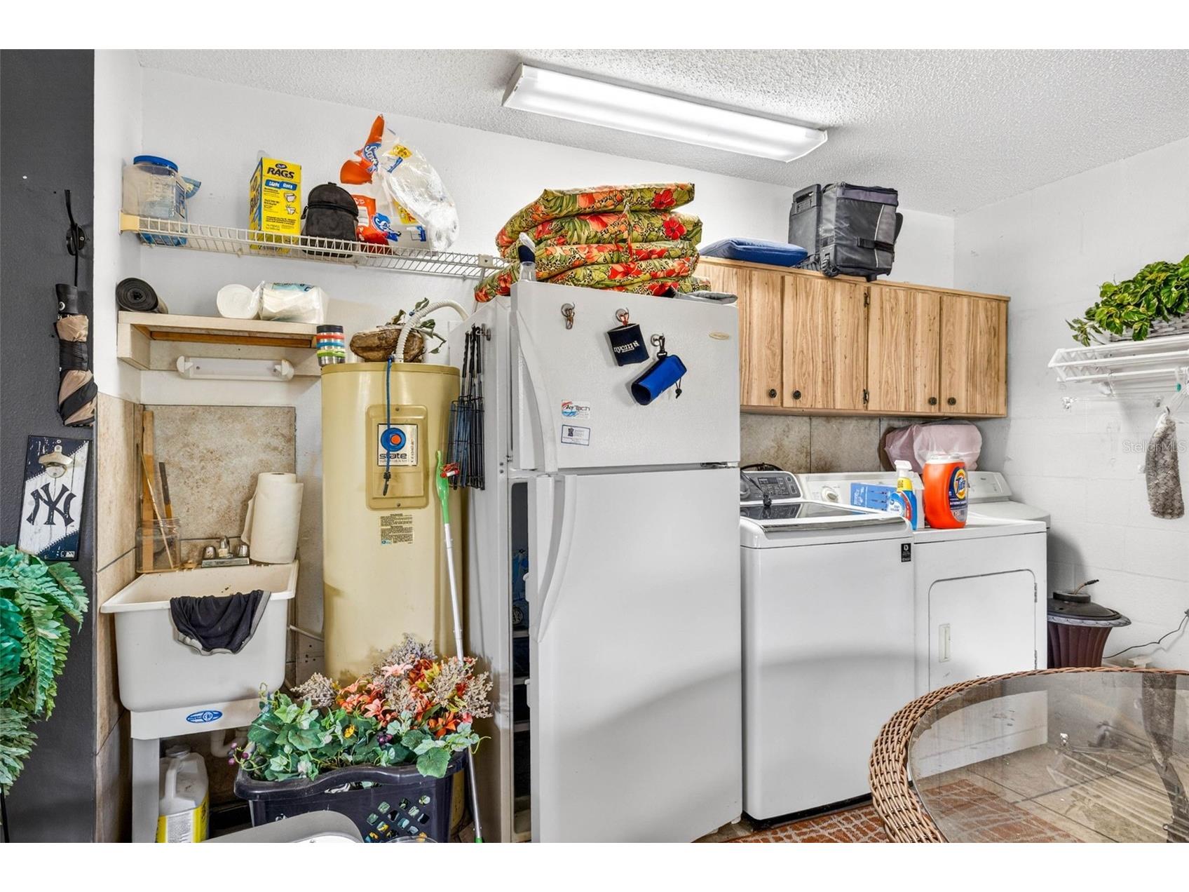 8429 Jacqueline Court Zephyrhills FL 33541 TB8509377 image28
