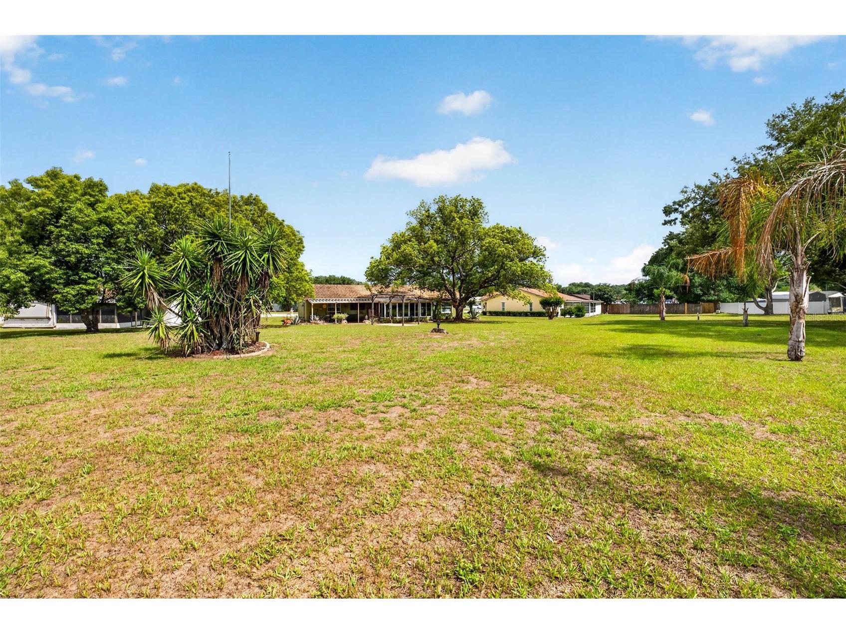 8429 Jacqueline Court Zephyrhills FL 33541 TB8509377 image41