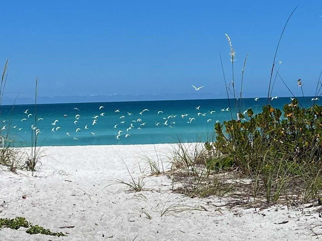 843 Bayport Way #843 Longboat Key FL 34228 TB8505224 image24
