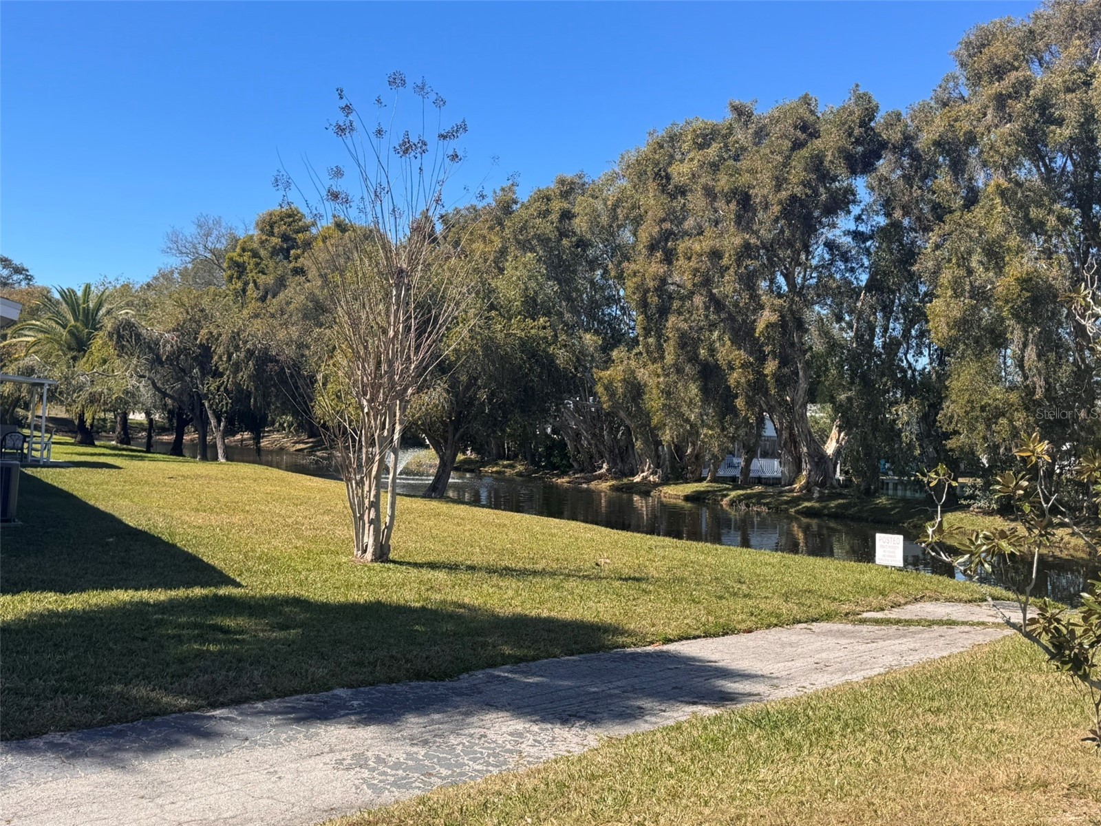 843 Cambridge Court #843 Dunedin FL 34698 TB8480906 image23