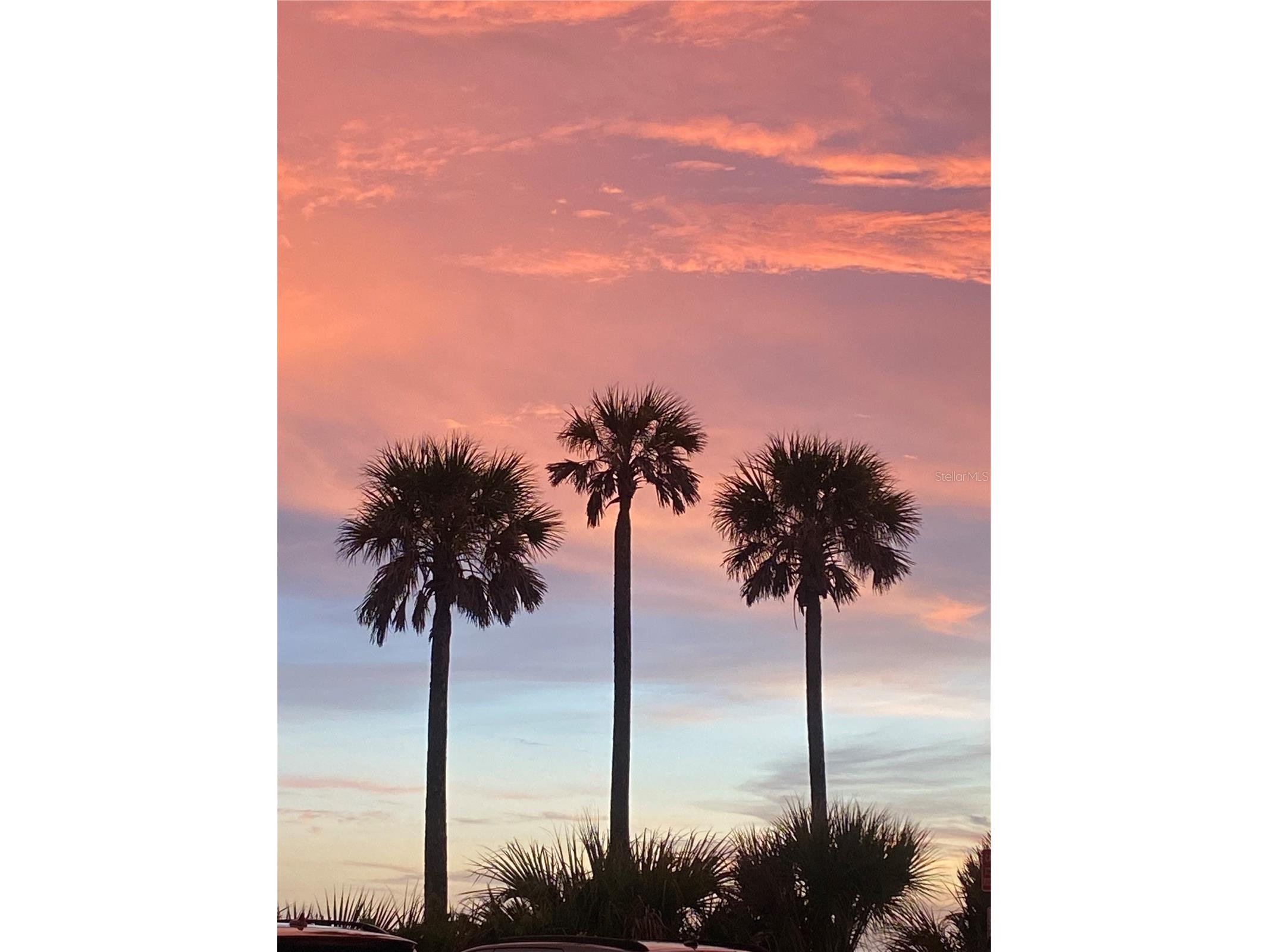 843 Molly Circle Sarasota FL 34232 A4680444 image24