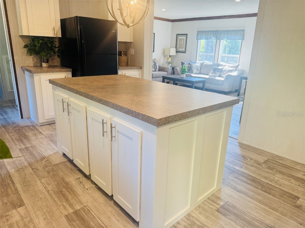 843 SW Central Terrace Fort White FL 32038 W7879930 image12