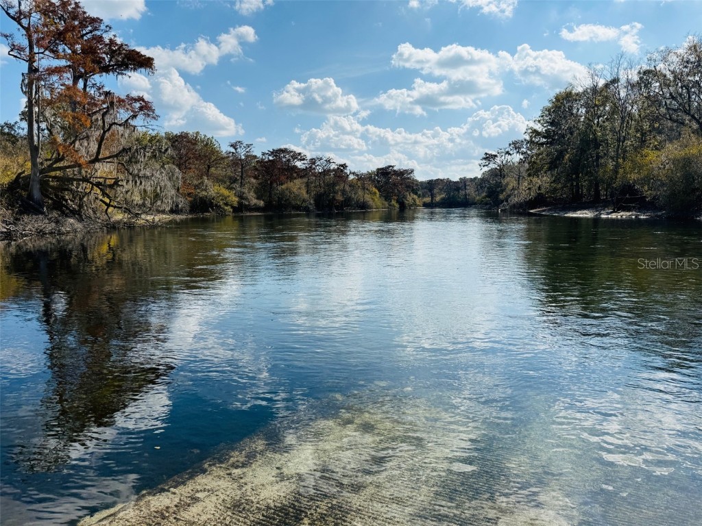 843 SW Central Terrace Fort White FL 32038 W7879930 image2