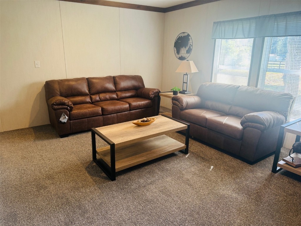 843 SW Central Terrace Fort White FL 32038 W7879930 image22