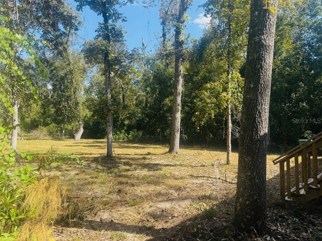 843 SW Central Terrace Fort White FL 32038 W7879930 image5