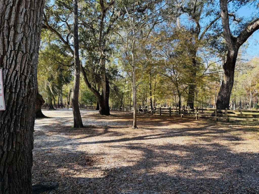 843 SW Central Terrace Fort White FL 32038 W7879930 image9