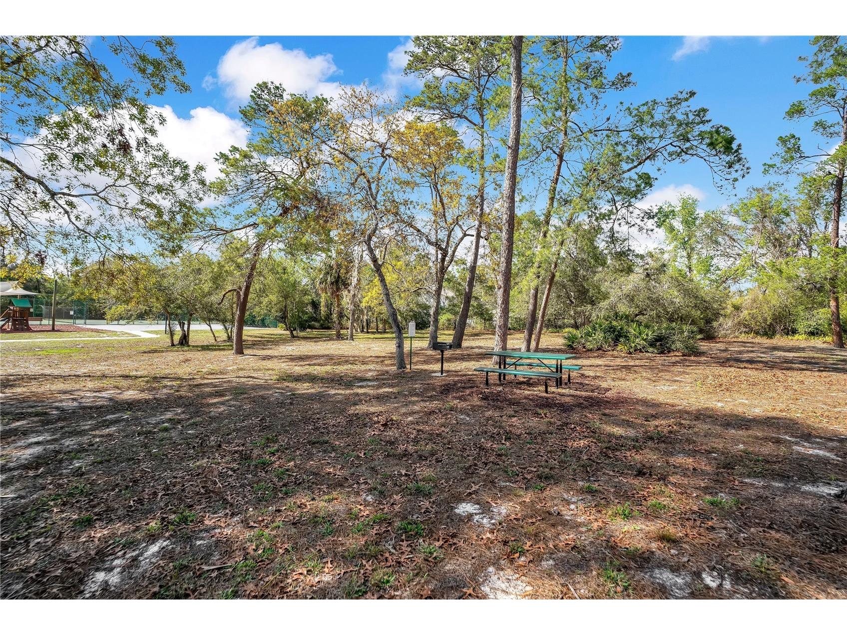 8431 Delaware Drive Weeki Wachee FL 34607 L4960263 image43