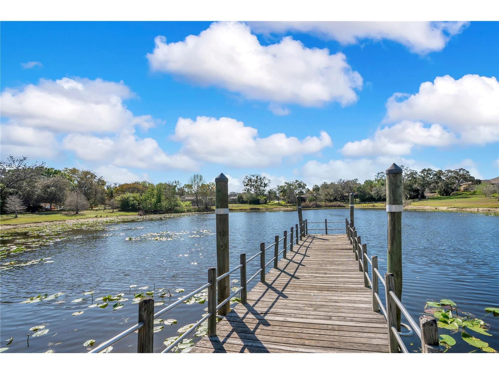 8431 Delaware Drive Weeki Wachee FL 34607 L4960263 image56