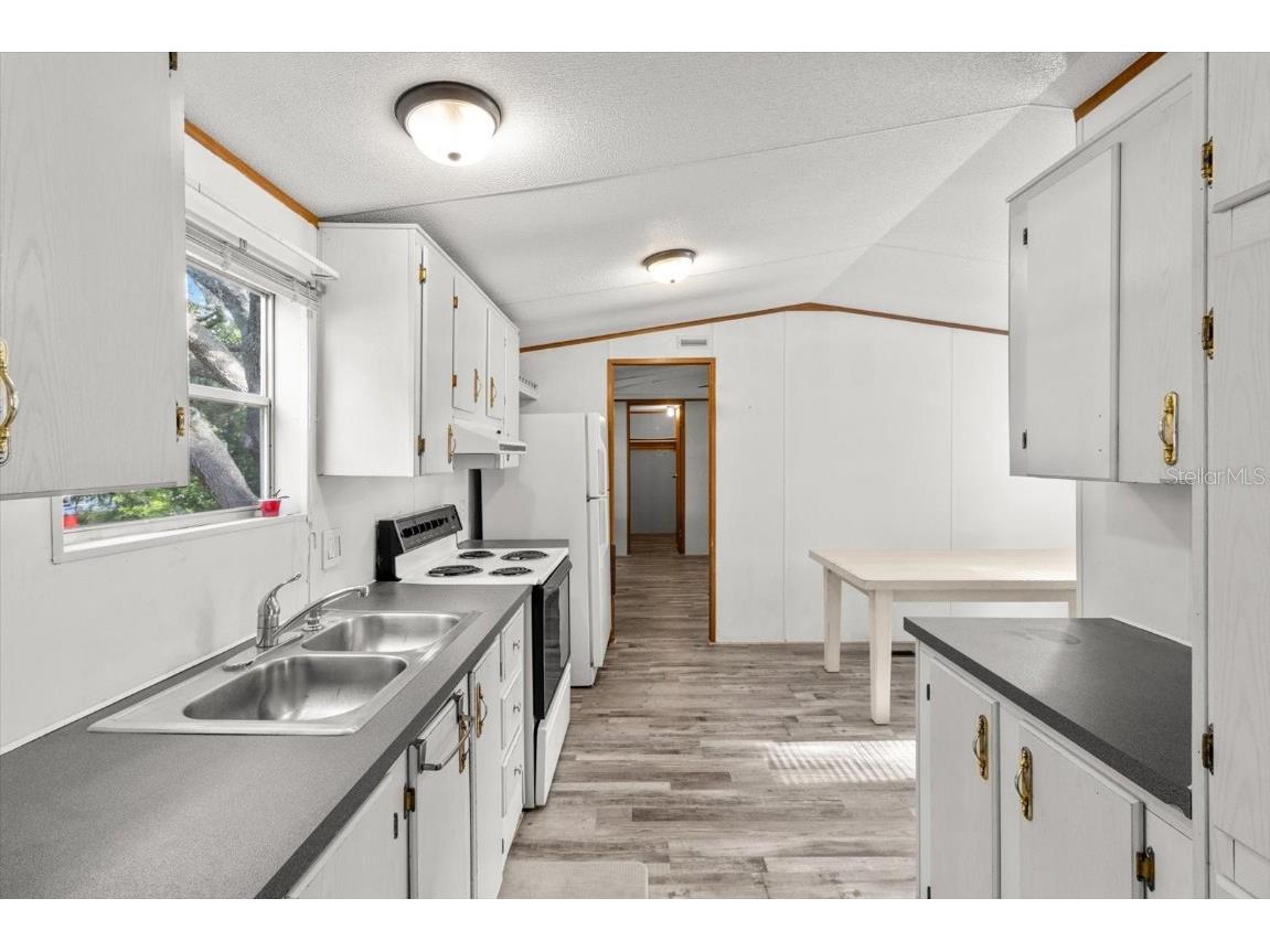 8431 S Lake Consuella Drive Floral City FL 34436 TB8385616 image12