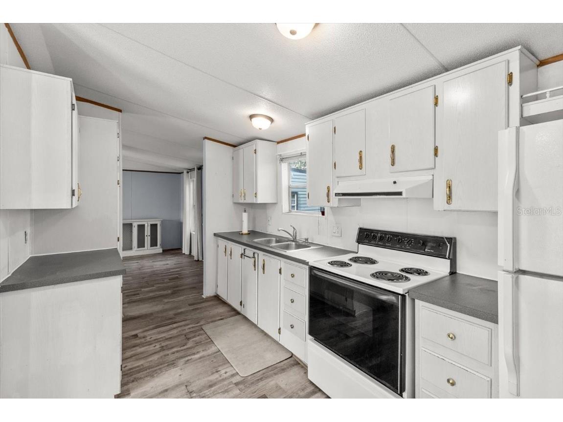 8431 S Lake Consuella Drive Floral City FL 34436 TB8385616 image13