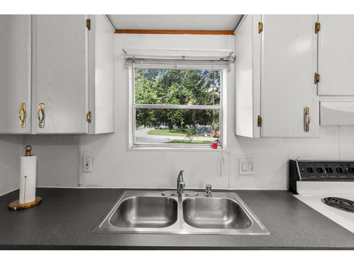 8431 S Lake Consuella Drive Floral City FL 34436 TB8385616 image14