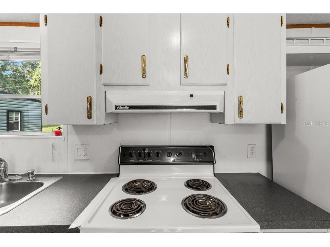 8431 S Lake Consuella Drive Floral City FL 34436 TB8385616 image15