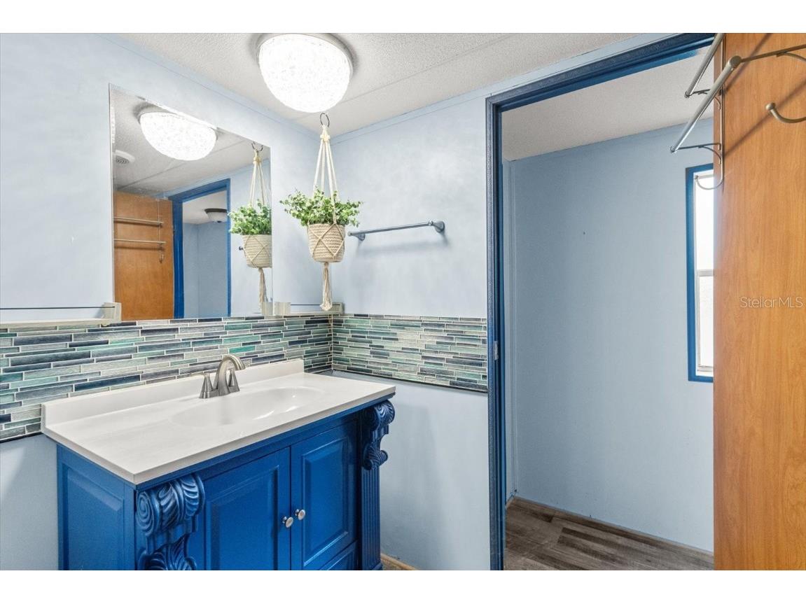 8431 S Lake Consuella Drive Floral City FL 34436 TB8385616 image21
