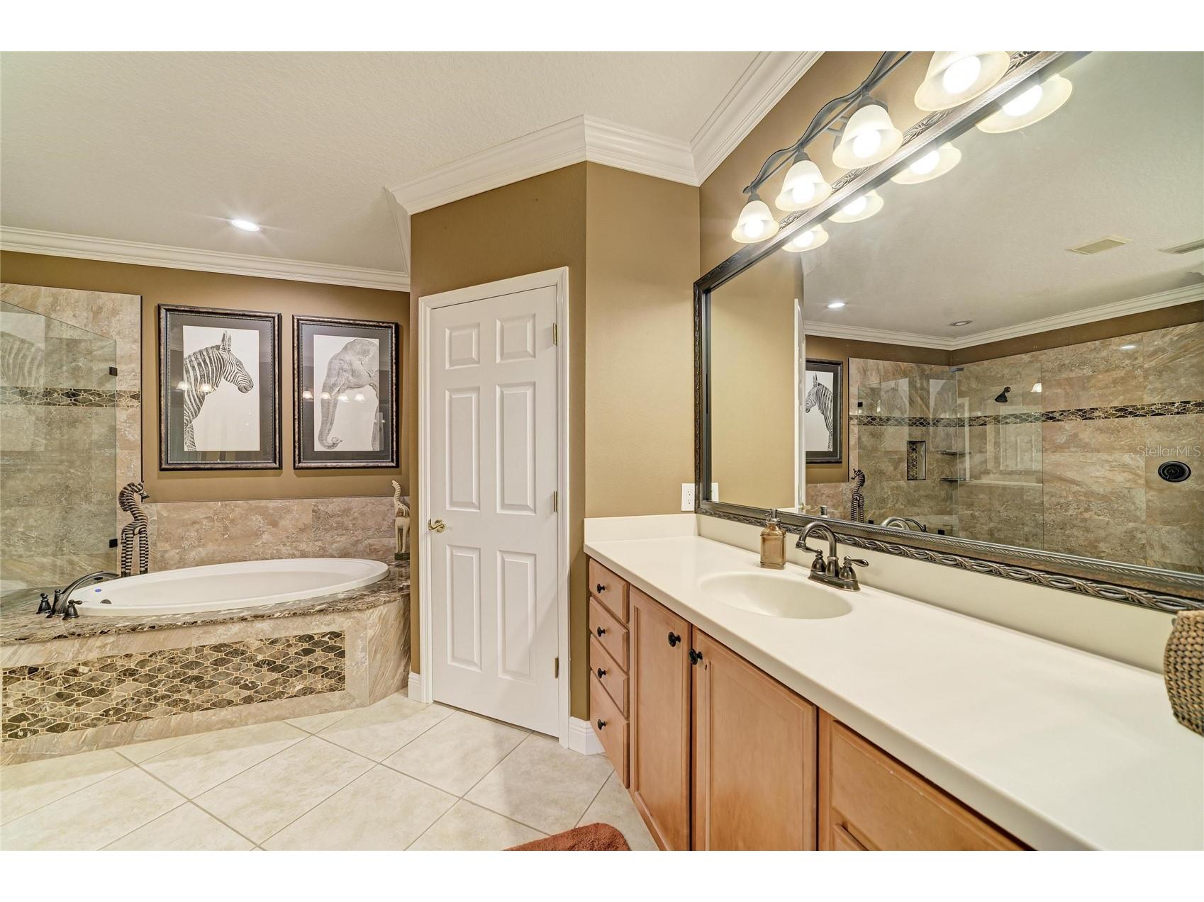 8432 Miramar Way Lakewood Ranch FL 34202 A4689902 image43