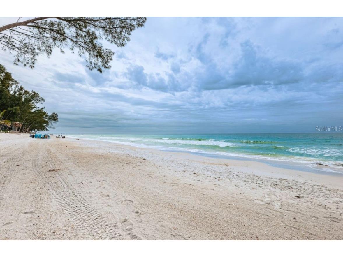 8432 W Gulf Boulevard Treasure Island FL 33706 TB8453130 image6