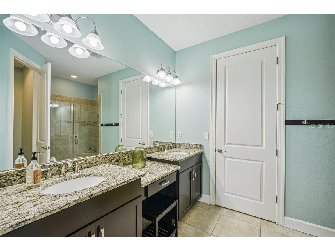 8433 Alberata Vista Drive Tampa FL 33647 TB8451671 image10