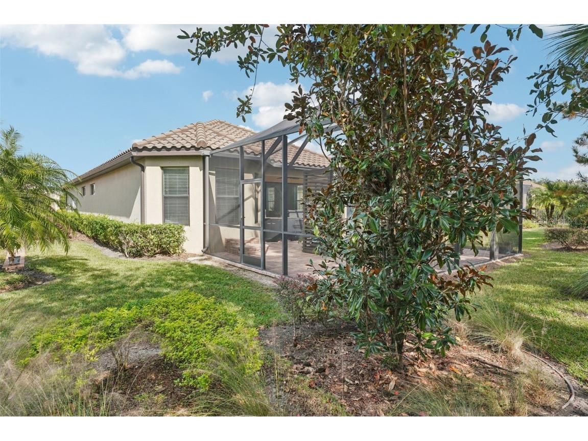 8433 Alberata Vista Drive Tampa FL 33647 TB8451671 image20