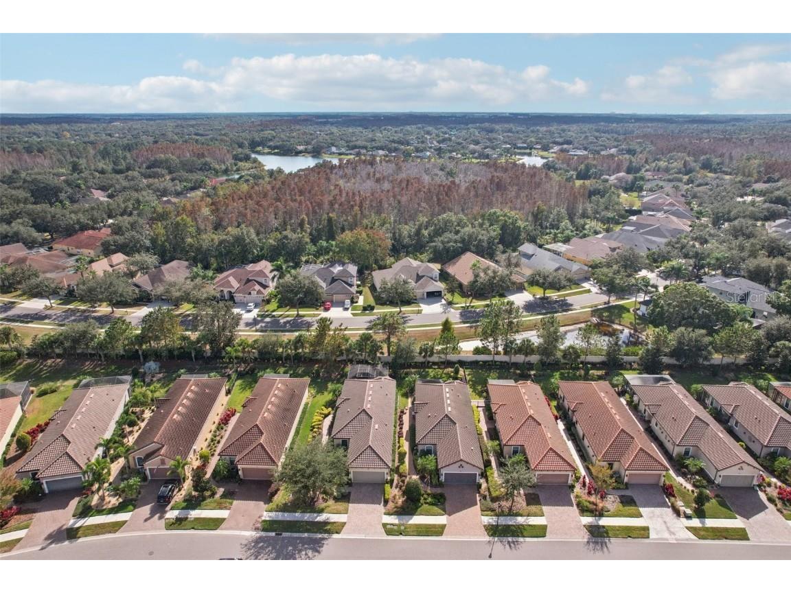 8433 Alberata Vista Drive Tampa FL 33647 TB8451671 image21