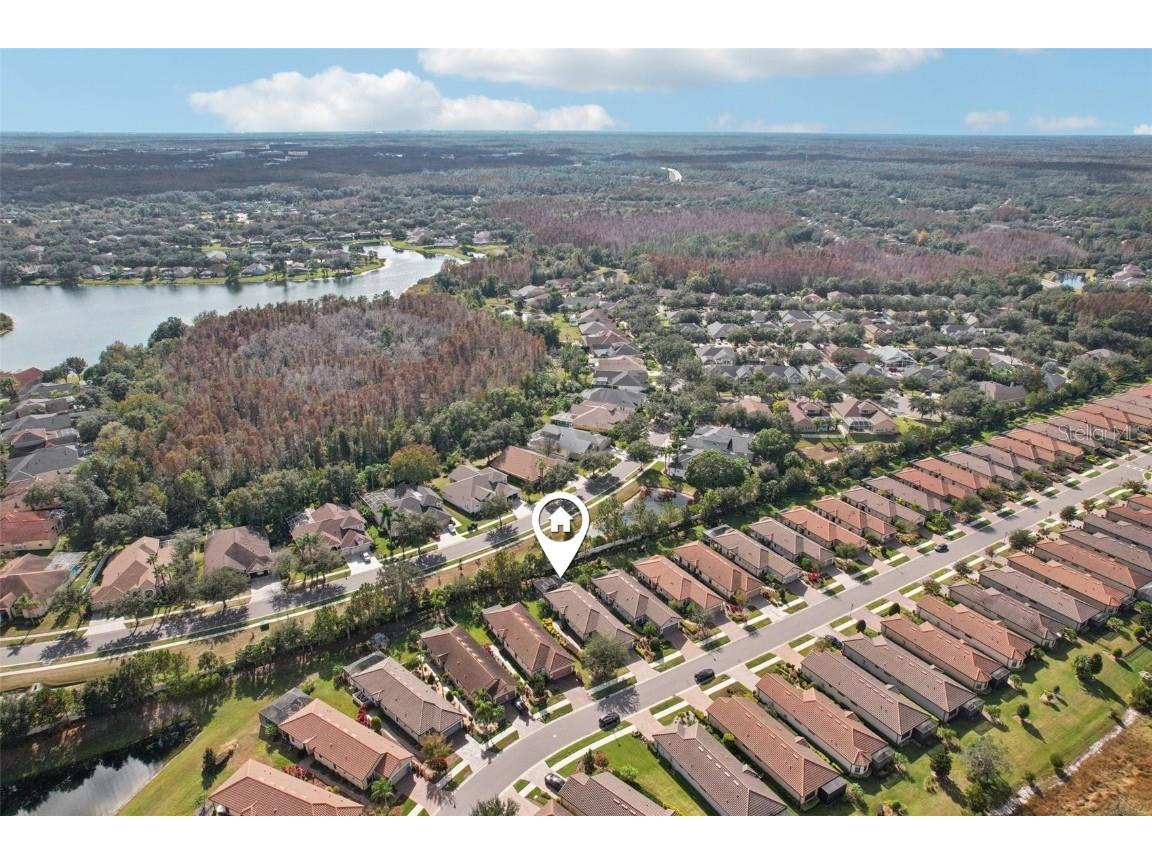 8433 Alberata Vista Drive Tampa FL 33647 TB8451671 image22