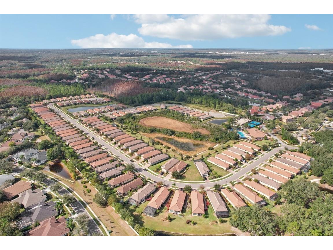 8433 Alberata Vista Drive Tampa FL 33647 TB8451671 image23