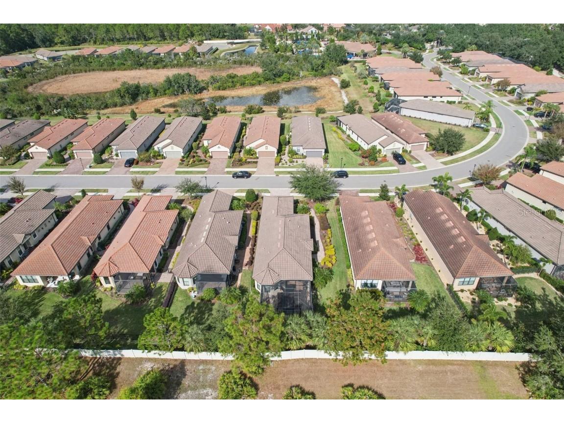 8433 Alberata Vista Drive Tampa FL 33647 TB8451671 image24