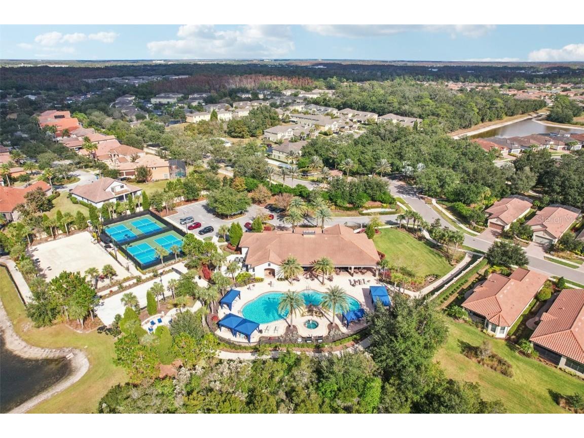 8433 Alberata Vista Drive Tampa FL 33647 TB8451671 image27