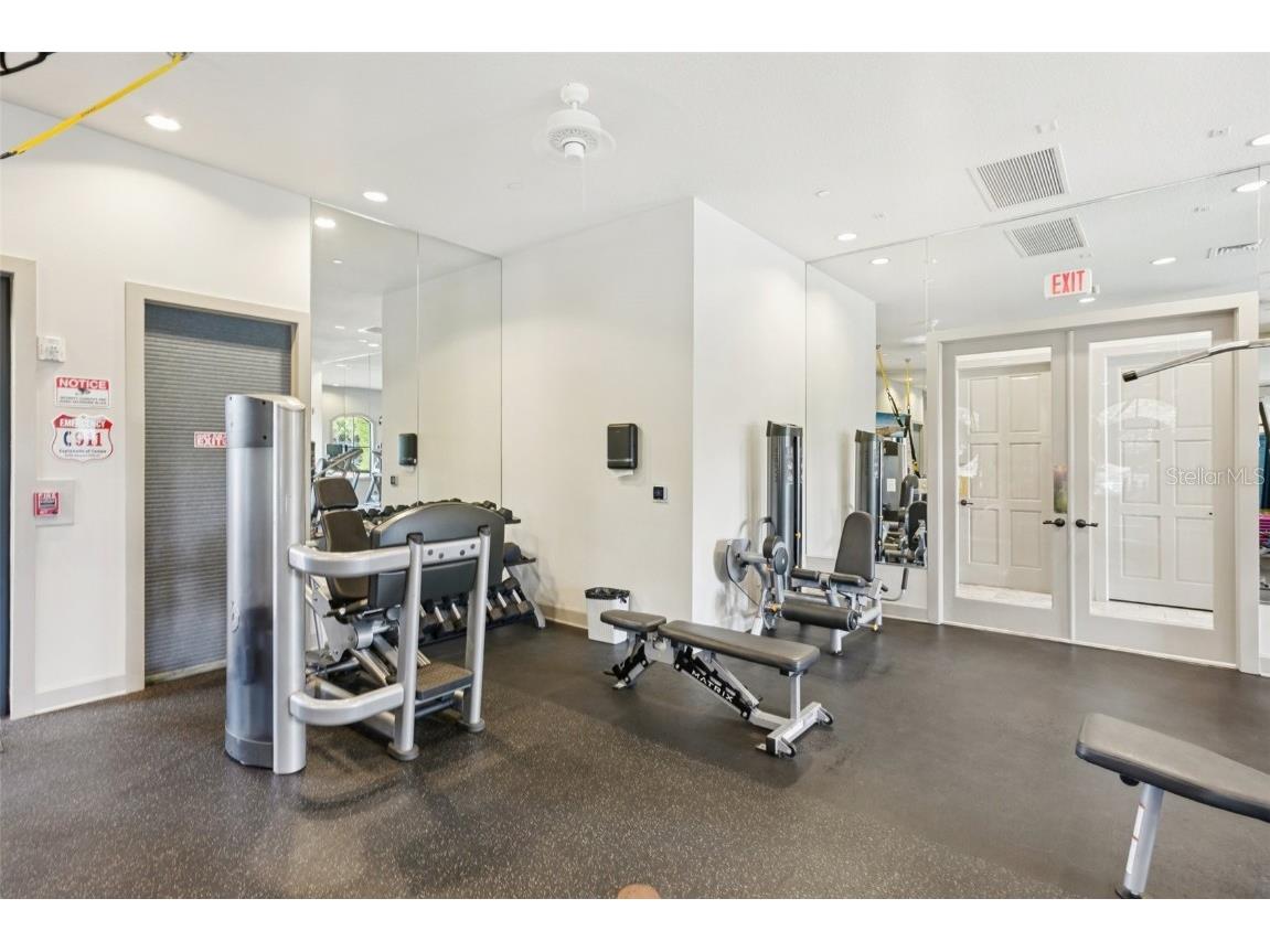 8433 Alberata Vista Drive Tampa FL 33647 TB8451671 image29