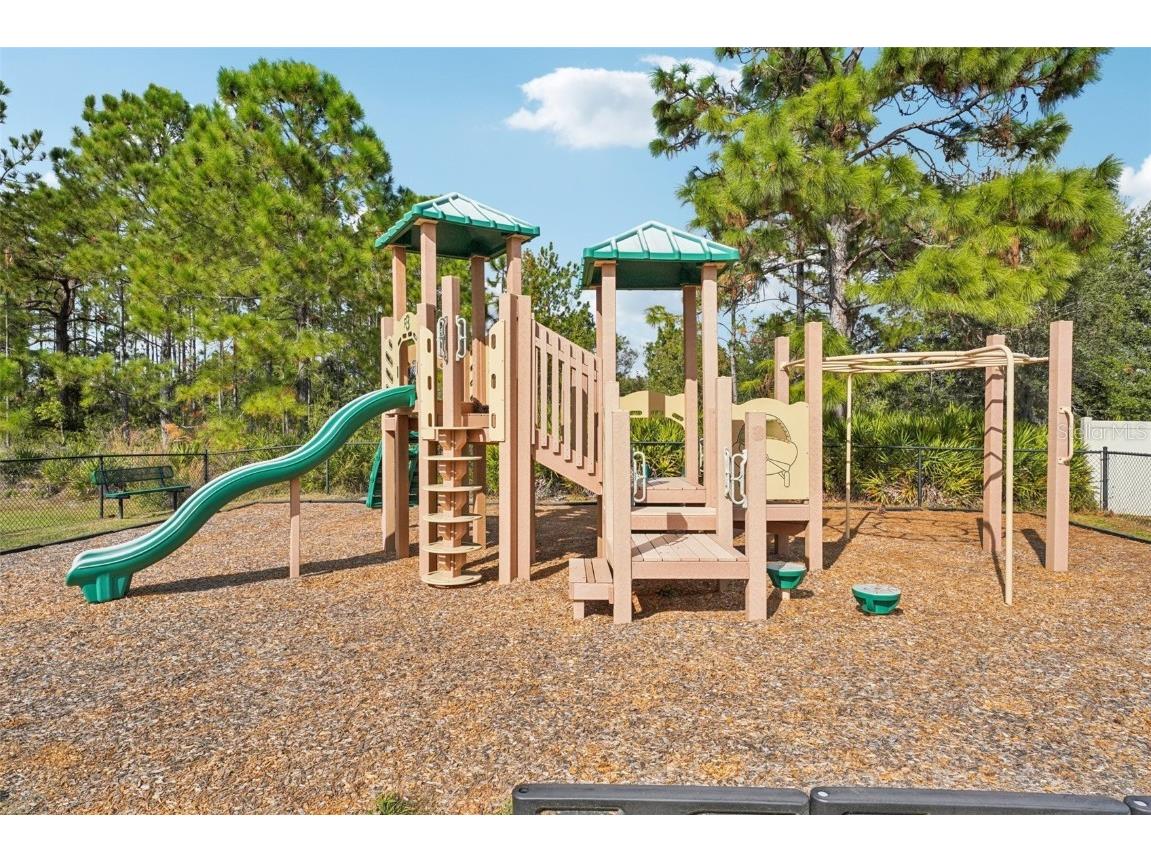 8433 Alberata Vista Drive Tampa FL 33647 TB8451671 image30