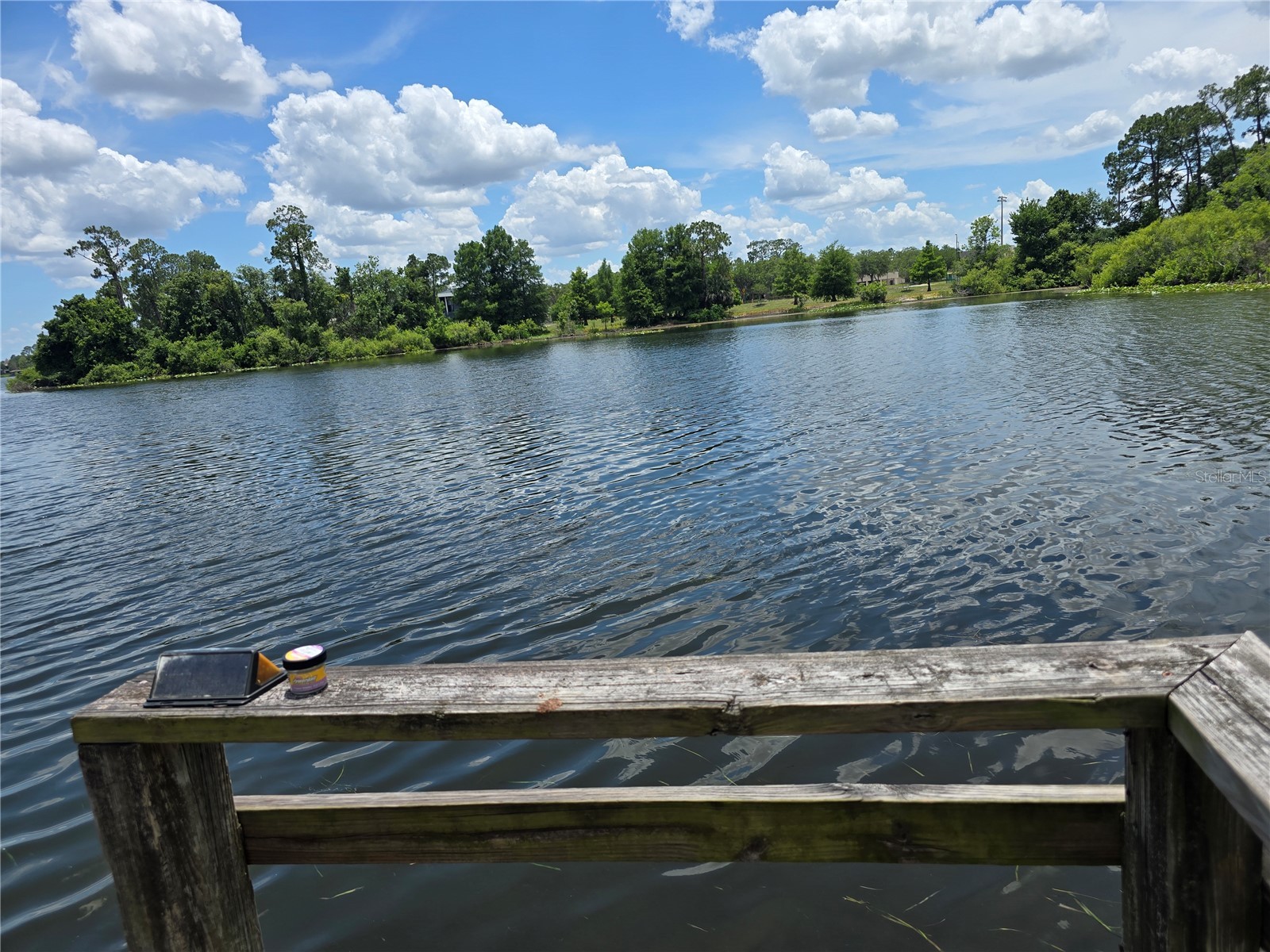 8433 Commander Cove Winter Park FL 32792 - LAKE BURKETT O6416635 image50