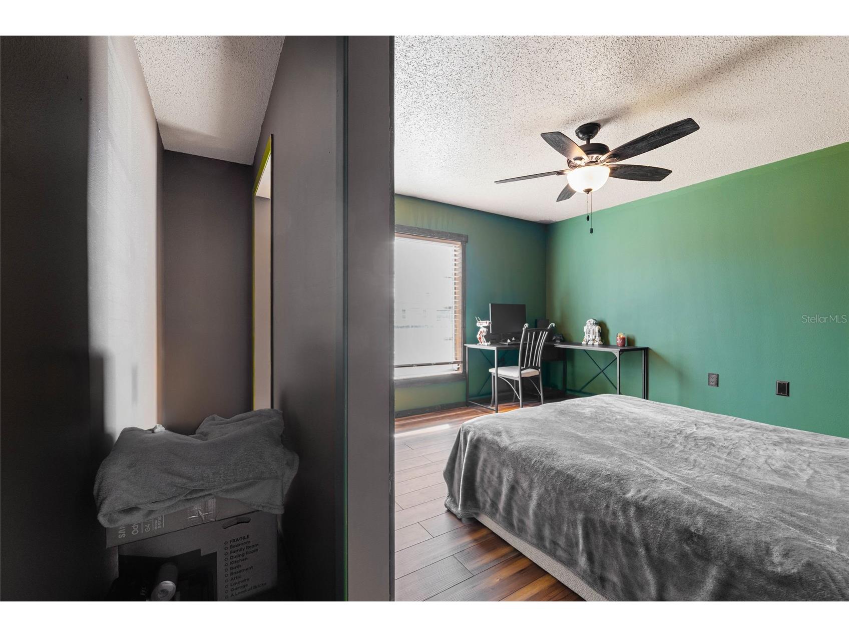 8433 Moulton Drive Port Richey FL 34668 TB8470397 image22